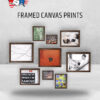 Framed Canvas Prints