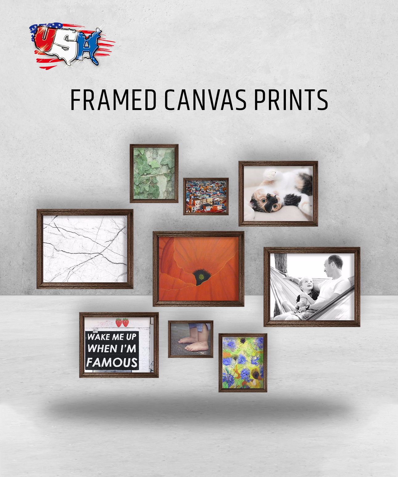 Framed Canvas Prints